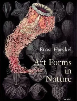ART FORMS IN NATURE ART FORMS IN NATURE