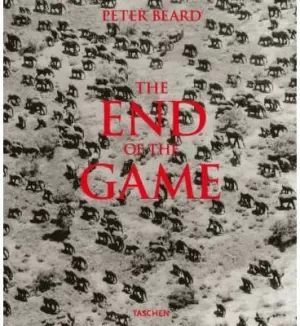 THE END OF THE GAME THE END OF THE GAME