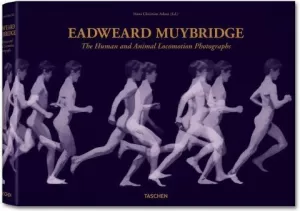 EADWEARD MUYBRIDGE. THE HUMAN AND ANIMAL LOCOMOTION PHOTOGRAPHS EADWEARD MUYBRIDGE. THE HUMAN AND ANIMAL LOCOMOTION PHOTOGRAPHS