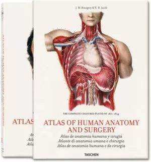 BOURGERY. ATLAS OF HUMAN ANATOMY AND SURGERY (ITA-ESP-POR) BOURGERY. ATLAS OF HUMAN ANATOMY AND SURGERY (ITA-ESP-POR)