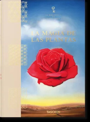 LA MAGIA DE LAS PLANTAS LA MAGIA DE LAS PLANTAS