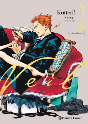 VEIL Nº 02 VEIL Nº 02