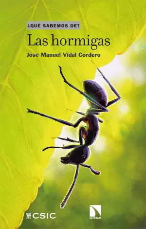 LAS HORMIGAS LAS HORMIGAS