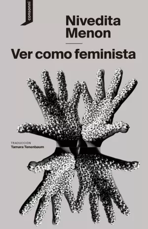 VER COMO FEMINISTA VER COMO FEMINISTA