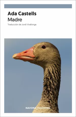 MADRE MADRE