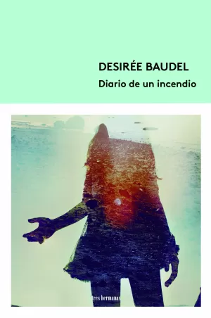DIARIO DE UN INCENDIO DIARIO DE UN INCENDIO