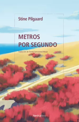 METROS POR SEGUNDO METROS POR SEGUNDO