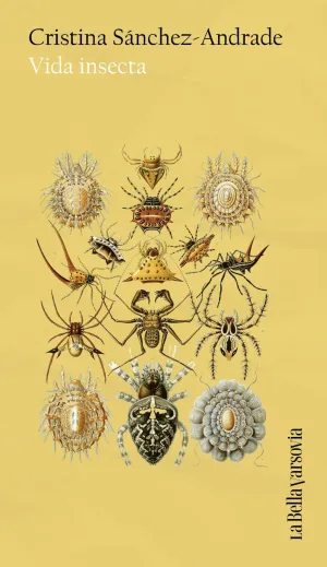 VIDA INSECTA