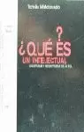 QUÉ ES UN INTELECTUAL?