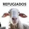 REFUGIADOS: ANIMALES LIBERADOS DE GRANJAS, MATADEROS Y OTROS CENTROS DE OPRESIÓN REFUGIADOS: ANIMALES LIBERADOS DE GRANJAS, MATADEROS Y OTROS CENTROS DE OPRESIÓN