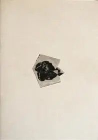 JUNE CRESPO, ESCANOGRAFÍAS