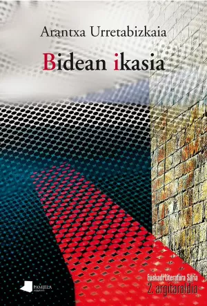BIDEAN IKASIA (1993-2016)