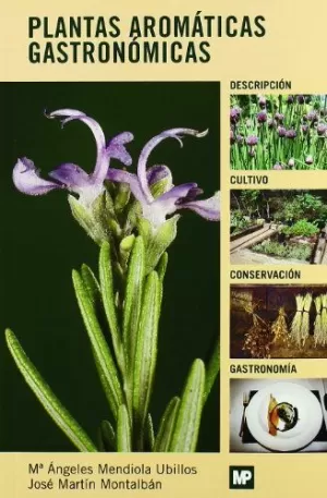 PLANTAS AROMÁTICAS GASTRONÓMICAS PLANTAS AROMÁTICAS GASTRONÓMICAS