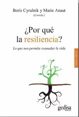 ¿POR QUÉ LA RESILIENCIA? - LO QUE NOS PERMITE REANUDAR LA VIDA ¿POR QUÉ LA RESILIENCIA? - LO QUE NOS PERMITE REANUDAR LA VIDA