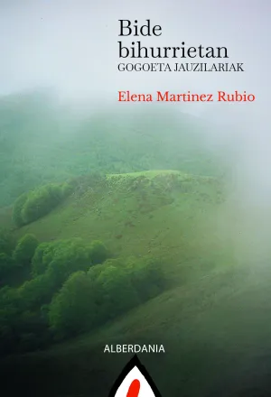 BIDE BIHURRIETAN